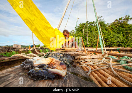 Riesenmuschel Fleisch auf einem Outrigger Kanus mit einem Kind im Hintergrund spielt in dem Dorf Hessessai Bucht bei PanaTinai (Panatinane) Insel im Louisiade-archipel in der Milne Bay Provinz, Papua Neu Guinea. Die Insel hat eine Fläche von 78 km2. Die Louisiade-archipel ist eine Zeichenfolge von zehn größere vulkanische Inseln häufig umgeben von Korallenriffen und 90 kleineren Koralleninseln liegt 200 km südöstlich von Neuguinea, der sich über mehr als 160 km und über eine Fläche von 26.000 km? Zwischen der Solomon Meer im Norden und das Korallenmeer im Süden. Stockfoto