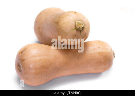 Bio Kürbis mit Garten Boden auf seiner Haut isoliert auf weißem Hintergrund Stockfoto