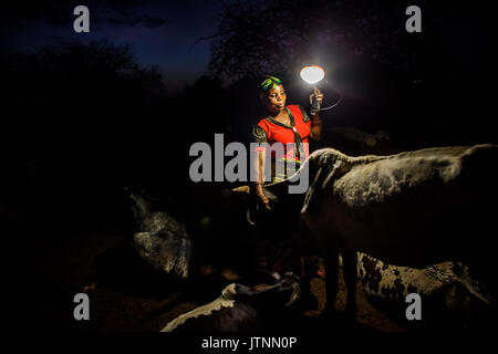Mforo, Tansania, einem Dorf in der Nähe von Moshi, Tansania. Solar Schwester Unternehmer Fatma Mziray überprüfung auf ihre Kühe in den Abend. Zuvor hatte sie die tragbare Solar Laterne sie und ihr Ehemann immer während der Nacht wurden auf die Kühe zu prüfen, weil trotz der dornige Bürste, dient als ein Zaun um die Kühe Hyänen und Tötung Kühe waren. Sie entdeckten, dass Sie, wenn Sie eine Lampe hing oben auf dem Baum in der Nähe der Kühe die Hyänen weg blieb. Dies hat eine große Lösung, und Sie müssen nicht mehr mehrere Male durch die Nacht. Stockfoto