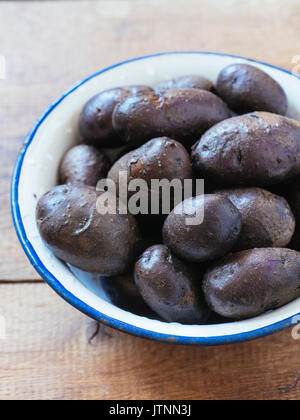 Gewaschen lila Kartoffeln (Typ: Bergerac) in eine Schüssel geben. Stockfoto