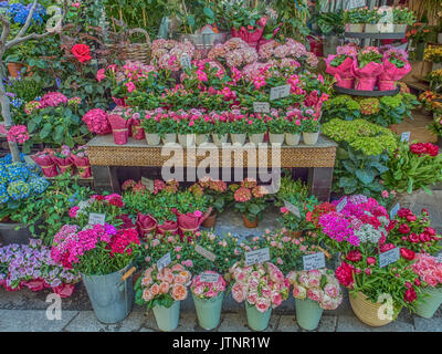 Wien, Österreich - 23. Mai 2017: Flower Shop auf einer Straße in Wien Stephansplatz Stockfoto