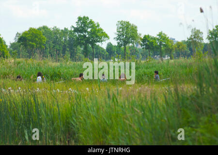 Köpfe ragen über Reed aus Menschen in Boote, die durch einen Kanal auf Ihren wy zum See in der Nähe von Bovenweide Giethoorn Stockfoto