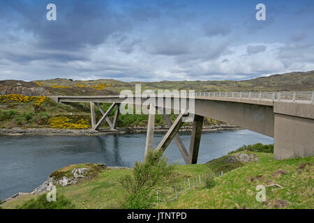 Panoramablick auf einzigartige Kylescu Brücke über einem Loch in eine Landschaft, die von Bergen, blauen Wasser dominiert, und goldenen Blumen der Ginster in Schottland Stockfoto