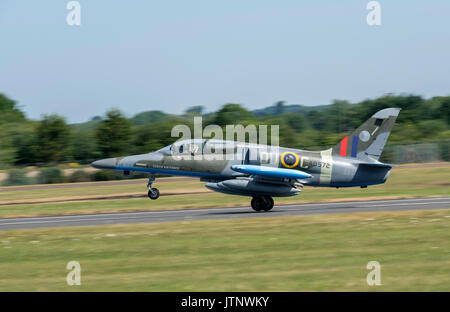 L-159 ALCA, tschechische Luftwaffe Stockfoto