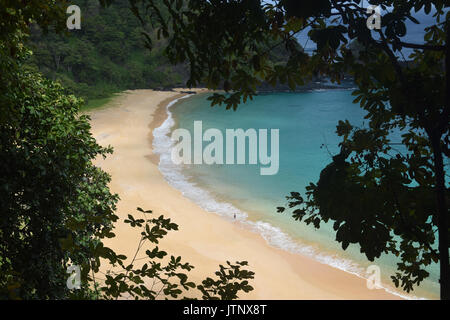 Kristallklare Meer Strand in Fernando de Noronha, Brasilien Stockfoto