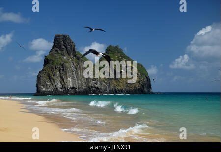 Kristallklare Meer Strand in Fernando de Noronha, Brasilien Stockfoto