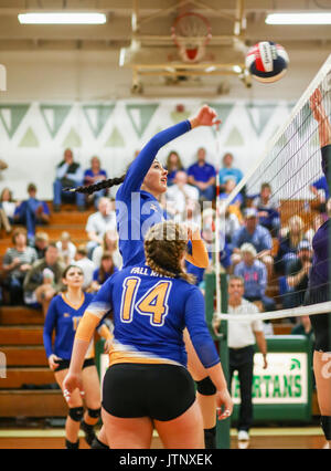 Volleyball Aktion mit Portola vs, Fall River High School in Red Bluff, Kalifornien. Stockfoto