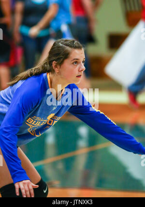 Volleyball Aktion mit Portola vs, Fall River High School in Red Bluff, Kalifornien. Stockfoto