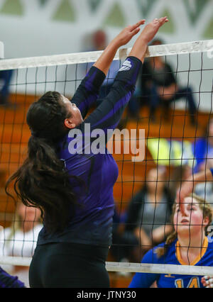 Volleyball Aktion mit Portola vs, Fall River High School in Red Bluff, Kalifornien. Stockfoto