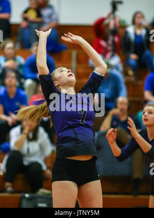 Volleyball Aktion mit Portola vs, Fall River High School in Red Bluff, Kalifornien. Stockfoto