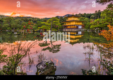 Kinkakuji Tempel in Kyoto, Japan. Stockfoto