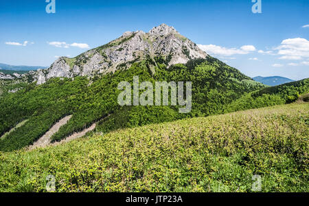 Rocky dolomitian Velky Rozsutec Hill aus Stohove sedlo in Krivanska Mala Fatra Gebirge in der Slowakei während der schönen Tag mit blauen Himmel und nur wenige Cloud Stockfoto