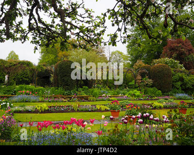 Landschaft Blick von der Apfelblüte in Richtung der versunkene Garten Chenies Manor, Buckinghamshire, nasser Frühling Tag mit Schichten von Tulpen und Farbe. Stockfoto