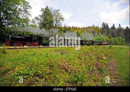 99 5901 mit dem 10:47 mittwochs Nur vintage Zug von Wernigerode zum Brocken Blätter Drei Annen Hohne. Harzer Schmalspurbahnen. Stockfoto