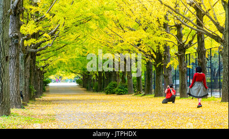 Tokyo, Japan - 06 Nov, 2014: Herbst Jahreszeit ginkgo Blätter im Herbst, Japan Stockfoto