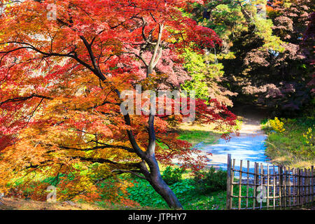 Aomori, Japan - 31. Oktober 2014: schöne Saison bei den Hirosaki Schlosspark in Hirosaki, Aomori, Japan Stockfoto