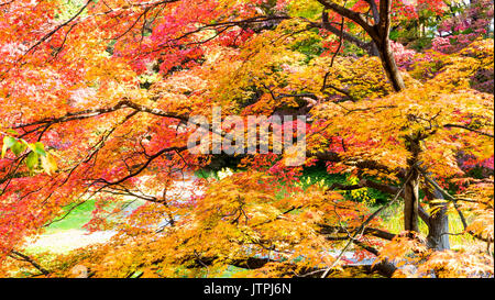 Aomori, Japan - 31. Oktober 2014: schöne Saison bei den Hirosaki Schlosspark in Hirosaki, Aomori, Japan Stockfoto