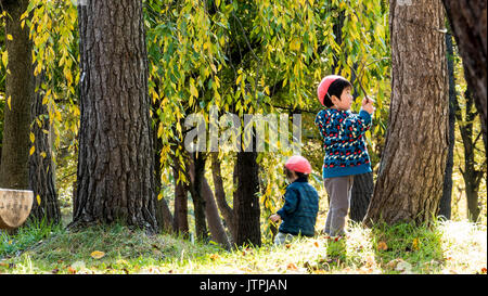 Aomori, Japan - 31. Oktober 2014: schöne Saison bei den Hirosaki Schlosspark in Hirosaki, Aomori, Japan Stockfoto