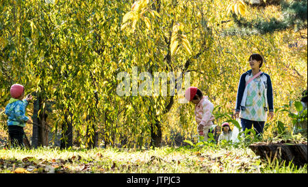 Aomori, Japan - 31. Oktober 2014: schöne Saison bei den Hirosaki Schlosspark in Hirosaki, Aomori, Japan Stockfoto