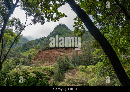 Nach oben auf die Iao Nadel auf Maui, Hawaii. Stockfoto