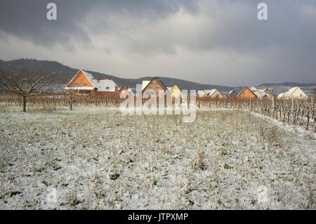 Ein buntes Dorf mit Weinberge im Elsass, Frankreich Stockfoto