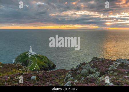 South Stack Lighthouse, Angelsey, Wales, UK in der Dämmerung mit Sonne am Horizont Stockfoto