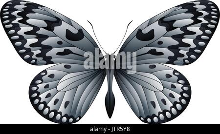 Schmetterling auf einem weißen Hintergrund isoliert Stock Vektor