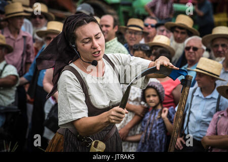 Ernte, dreschmaschine Tage, Displays und Erholung der antiken landwirtschaftliche Geräte und Techniken in Lancaster County. Stockfoto