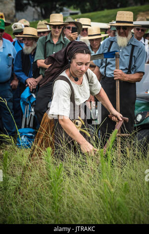 Ernte, dreschmaschine Tage, Displays und Erholung der antiken landwirtschaftliche Geräte und Techniken in Lancaster County. Stockfoto