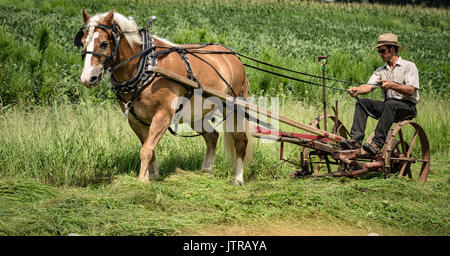Ernte, dreschmaschine Tage, Displays und Erholung der antiken landwirtschaftliche Geräte und Techniken in Lancaster County. Stockfoto