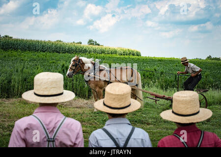 Ernte, dreschmaschine Tage, Displays und Erholung der antiken landwirtschaftliche Geräte und Techniken in Lancaster County. Stockfoto