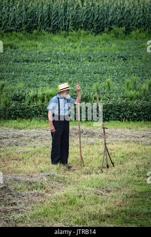 Ernte, dreschmaschine Tage, Displays und Erholung der antiken landwirtschaftliche Geräte und Techniken in Lancaster County. Stockfoto
