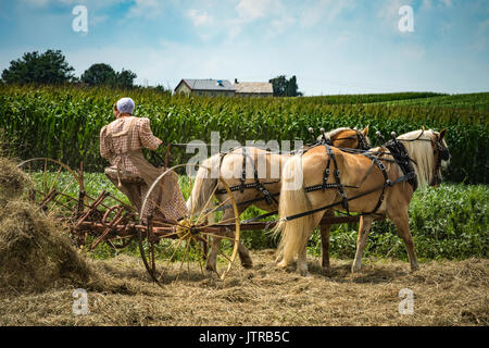 Ernte, dreschmaschine Tage, Displays und Erholung der antiken landwirtschaftliche Geräte und Techniken in Lancaster County. Stockfoto