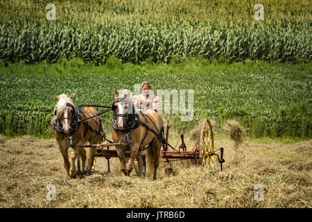 Ernte, dreschmaschine Tage, Displays und Erholung der antiken landwirtschaftliche Geräte und Techniken in Lancaster County. Stockfoto