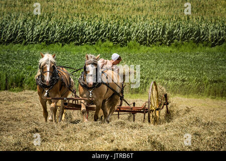 Ernte, dreschmaschine Tage, Displays und Erholung der antiken landwirtschaftliche Geräte und Techniken in Lancaster County. Stockfoto