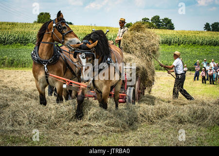 Ernte, dreschmaschine Tage, Displays und Erholung der antiken landwirtschaftliche Geräte und Techniken in Lancaster County. Stockfoto