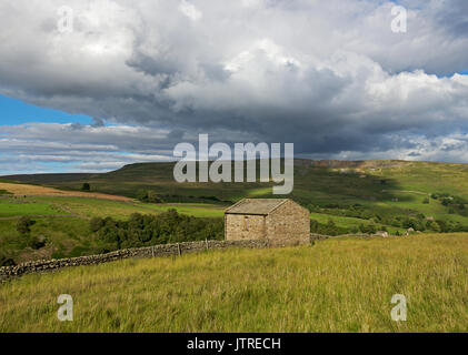 Arkengarthdale, Yorkshire Dales National Park, North Yorkshire, England, Großbritannien Stockfoto