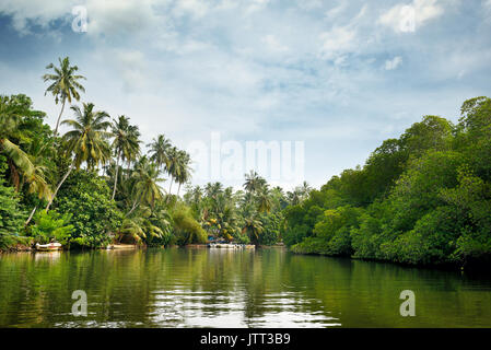 Der äquatorialen Wald und Boote auf dem See Stockfoto