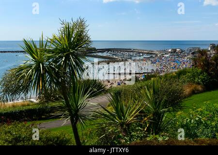 Lyme Regis, Dorset, Großbritannien. 10. August 2017. UK Wetter. Erholungssuchende und Sonnenhungrige Pack der Strand im Badeort von Lyme Regis in Dorset an einem warmen sonnigen Tag ab Langmoor Gärten gesehen. Photo Credit: Graham Jagd-/Alamy leben Nachrichten Stockfoto