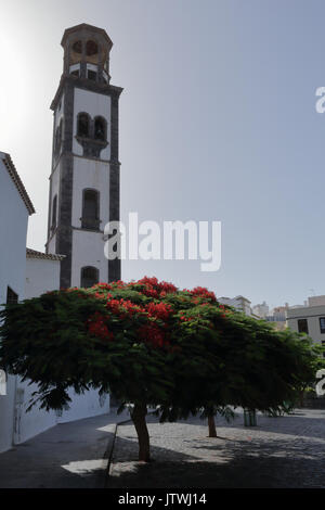 Der Glockenturm der Kirche der Unbefleckten Empfängnis in Santa Cruz de Tenerife, Kanarische Inseln, Spanien Stockfoto