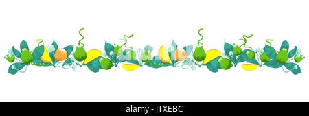 Grenze der Blumensträuße von Früchten und Blättern isoliert auf Weiss. Vector Illustration. Hand gezeichnet. Schönen floralen Gestaltungselemente. Stock Vektor