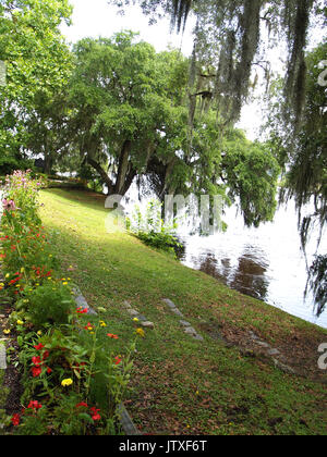 Gärten und Ashley River, Magnolia Plantation, Charleston, SC Stockfoto