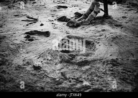 Dinosaur Footprint und dem Fuß auf Hintergrund Stockfoto