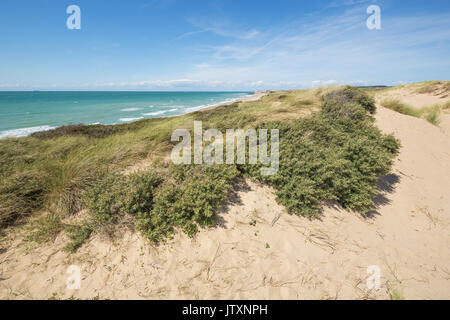 Dünenlandschaft in der Nähe von Boulogne-sur-Mer mit Strand an der Küste von Opal Stockfoto