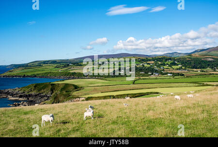 Maughold Kopf, Blick Richtung Hügel Stockfoto