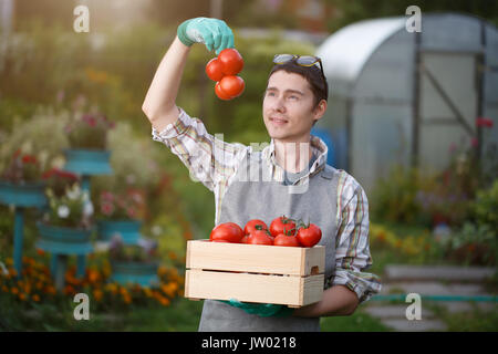 Junge Brünette in Gummi Handschuhe mit Box von Tomaten auf der Straße bei Tag Stockfoto