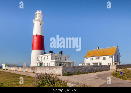 Der Leuchtturm von Portland Bill, Dorset, England, Großbritannien Stockfoto