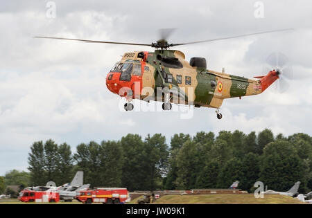 BAF Sea King Mk 48 Hubschrauber Stockfoto