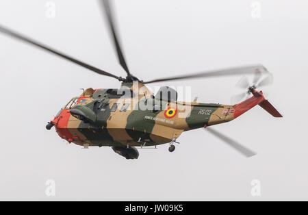 BAF Sea King Mk 48 Hubschrauber Stockfoto