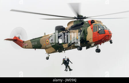 BAF Sea King Mk 48 Hubschrauber Stockfoto